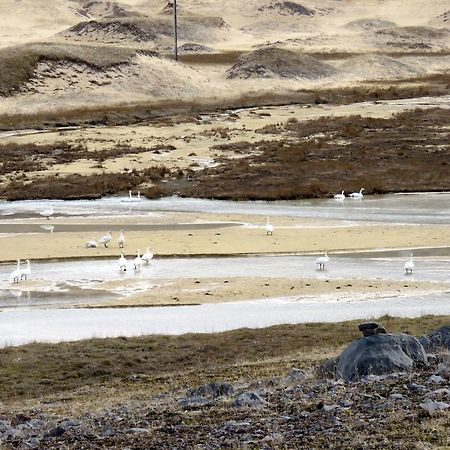 Stekkar 23 Leilighet Patreksfjordur Eksteriør bilde