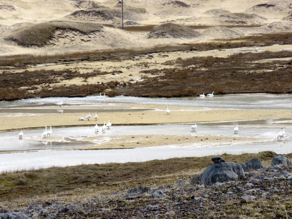 Stekkar 23 Leilighet Patreksfjordur Eksteriør bilde